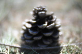 Fotografía de una piña tomada con una lente de efectos especiales.