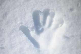 Huella de una mano impresa en la nieve.