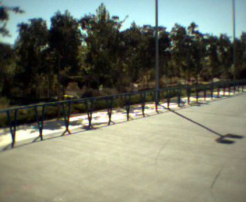 Parque visto desde la pista de patinaje.
