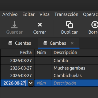 Captura de Gnucash con los colores del tema.